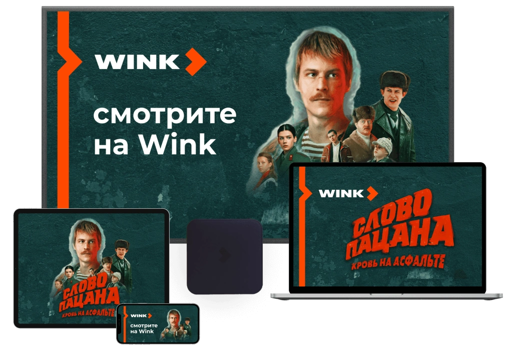 Wink %provider2% в село Шкинь